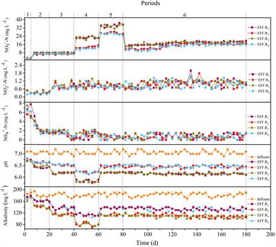 Denitrification Performance in Packed-Bed Reactors Using Novel Carbon-Sulfur-Based Composite Filters for Treatment of Synthetic Wastewater and Anaerobic Ammonia Oxidation Effluent